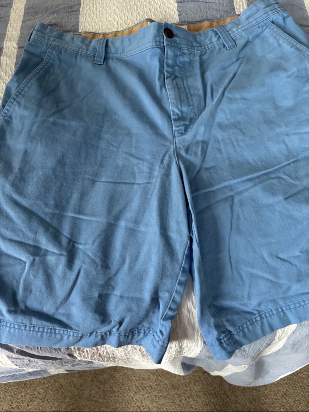 Izod Men's Light Blue Flat Front Cotton Shorts